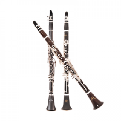 Clarinets Clarinet Type: Bb (B-flat); Body Material: Plastic; Included Accessories: Reed