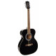 Acoustic guitar Richwood RA-12-BK