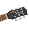 Acoustic-Electric Guitar Richwood RA-12-CEBK