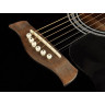 Acoustic-Electric Guitar Richwood RA-12-CEBK