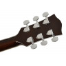 Acoustic-Electric Guitar Richwood RA-12-CESB