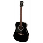 Acoustic Guitar Richwood RD-12L-BK