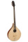Бузуки Richwood RIBZ-40