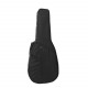 Case/trunk For Acoustic Guitar Alfabeto FOAM41