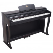 Digital Piano Alfabeto Allegro (Black)