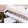 Цифровое пианино Alfabeto Concertino (White)