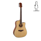 Acoustic Guitar Alfabeto SPRUCE WS41 ST + gig bag