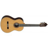 Classical Guitar Alhambra 8P with Case/Trunk