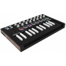 MIDI Keyboard Arturia Minilab MkII Inverted + Arturia Analog Lab V