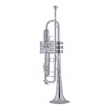 Trumpet Bach Stradivarius 190S43 "50th Anniversary"
