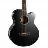 Acoustic Bass Guitar Cort AB850F (Black)