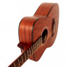 Acoustic Guitar Cort AF510M (Open Pore)