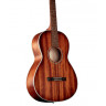 Acoustic Guitar Cort AP550M (Open Pore)