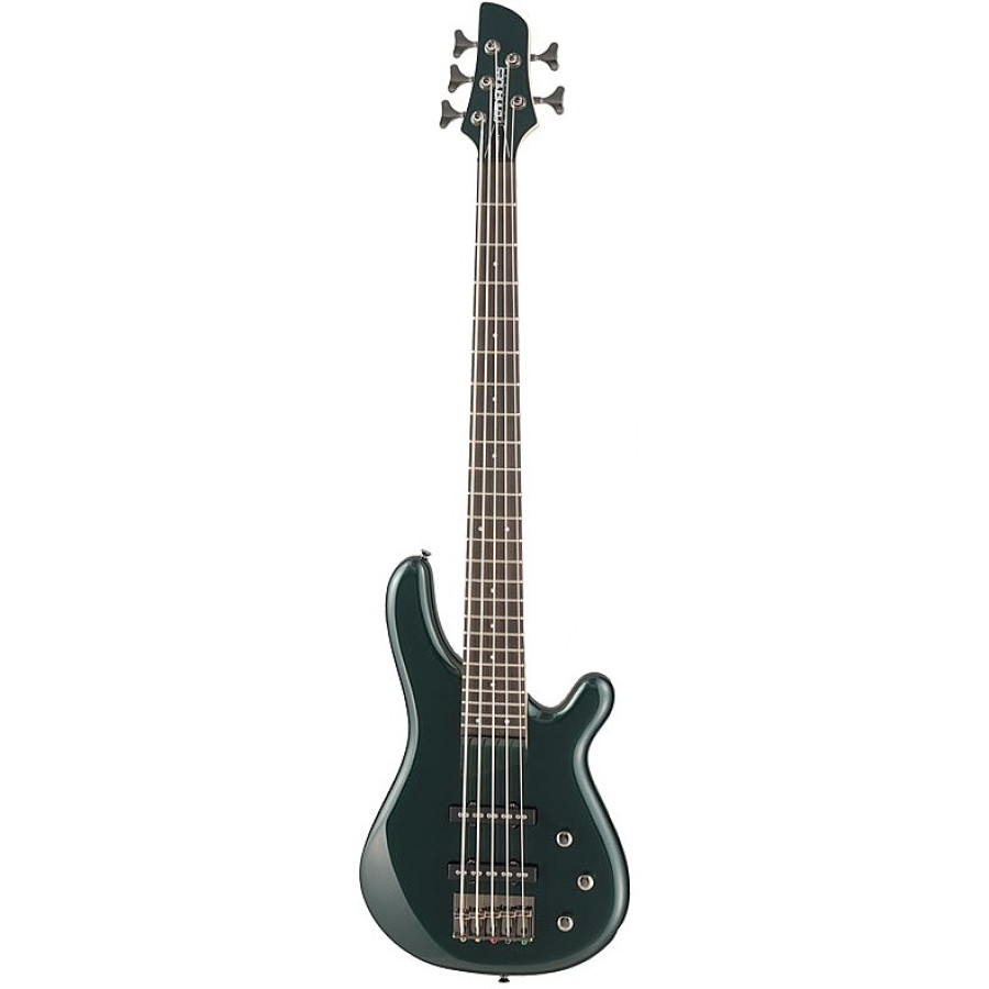 Bass Guitar Fernandes Gravity 5X DAG (G5X08) (17-6-11-30