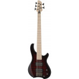 Bass Guitar Fernandes Tremor 5X BCS (discounted)
