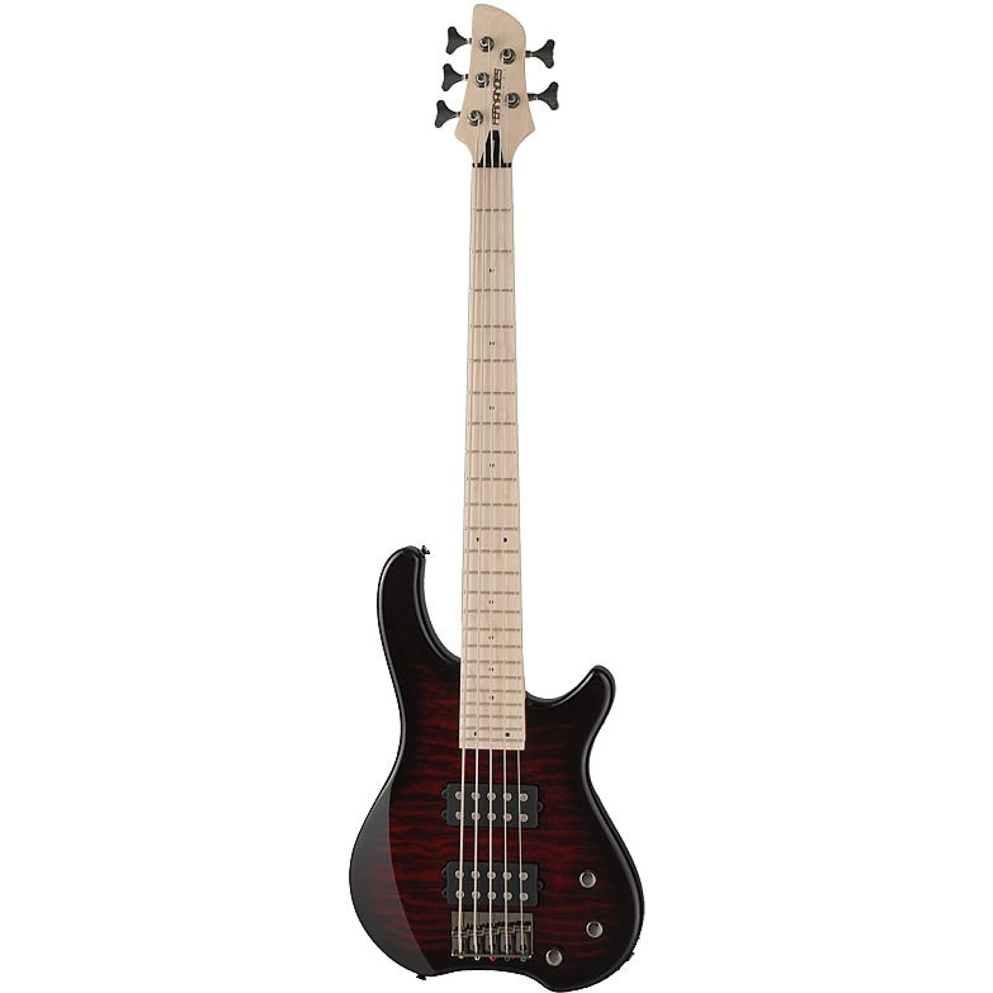 Bass Guitar Fernandes Tremor 5X BCS (discounted) (17-6-11-56