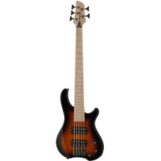 Бас-гитара Fernandes Tremor 5X (Tobacco Sunburst)