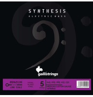 Bass Guitar Strings Gallistrings BSN45130 (.045-.130), Synthesis, MEDIUM CUSTOM TAPERED, Nickel