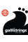 Струны для классической гитары Gallistrings MS100 (.028-.045), Magic Sound, HARD, Silver