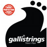 Струни для класичної гітари Gallistrings MS 110 NORMAL TNS