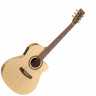 Electric Acoustic Guitar Norman (by Godin) 033126 - Encore B20 CW Folk EQ