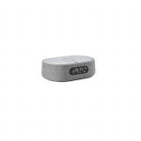 Portable speaker harman/kardon Citation Oasis (Grey)