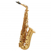 Saxophone Alto Henri Selmer Paris SERIES III BGG GO