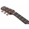 Acoustic Guitar Ibanez AAD50-LG (Natural Low Gloss)