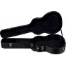 Acoustic Guitar Case/trunk Lag 100A