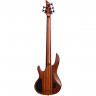 Bass guitar LTD D-5 (Natural Satin)