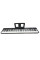 Складное цифровое пианино (в комплекте с чехлом) Musicality CP88-BK _CompactPiano Mk2