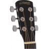 Acoustic guitar Nashville by Richwood GSD-6034-BK