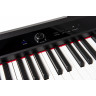 Digital Piano Orla PF100 (Black)