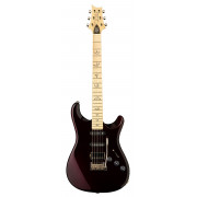 Electric Guitar PRS Fiore (Black Iris)