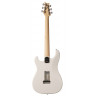 Electric Guitar PRS Silver Sky (Frost)