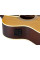 Электроакустическая гитара Richwood RA-12-CE