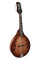Мандолина Richwood RMA-90-NT