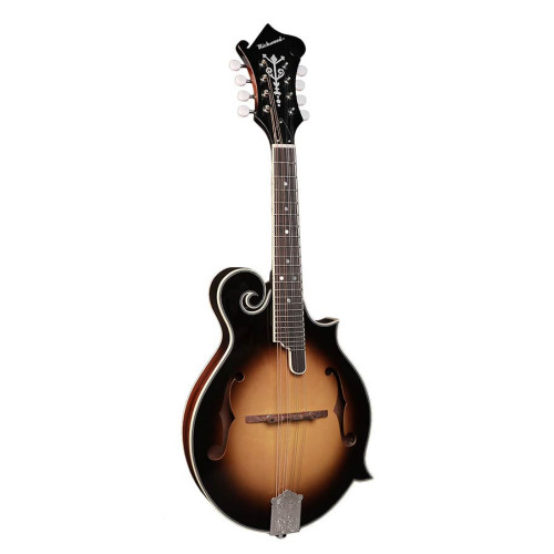 musicianua_richwood_rmf_60_vs_