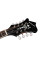 Мандолина Richwood RMF-60-VS