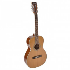 Acoustic guitar Richwood RV-70-NT