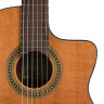 Classical Guitar with Pickup Salvador Cortez CC-10CE