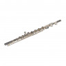 Flute Sankyo CF 501 DN
