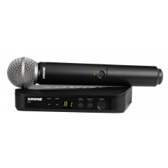 Wireless system (wireless microphone) Shure BLX24E/SM58-M17