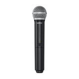Wireless system (wireless microphone) Shure BLX2/PG58-M17
