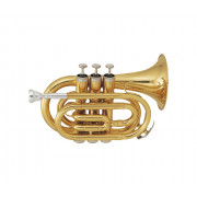 Trumpet SML TP50