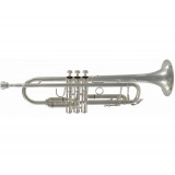 Trumpet SML TP500S