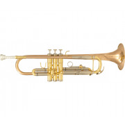 Trumpet SML TP600