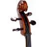 Віолончель Stentor 1102/F Student I Cello Outfit (1/4)