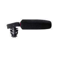 Camera Recorder Tascam DR-10SG