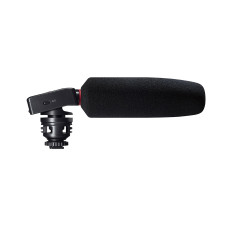 Camera Recorder Tascam DR-10SG